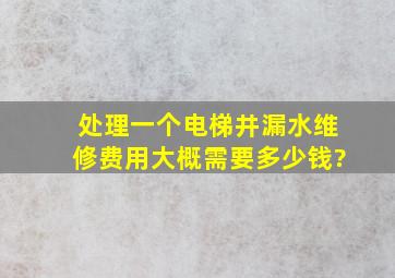 处理一个电梯井漏水维修费用大概需要多少钱?