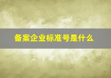 备案企业标准号是什么