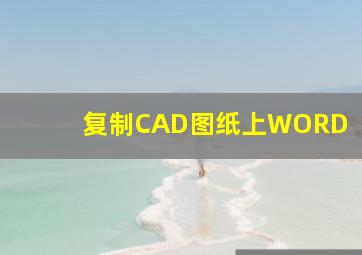 复制CAD图纸上WORD