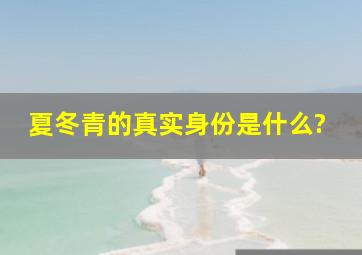 夏冬青的真实身份是什么?