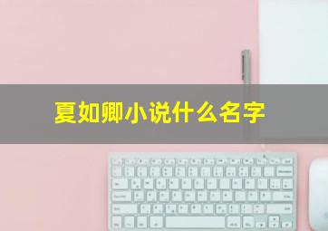 夏如卿小说什么名字