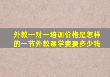 外教一对一培训价格是怎样的一节外教课学费要多少钱