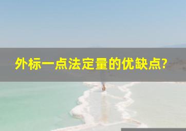 外标一点法定量的优缺点?