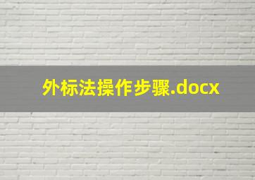 外标法操作步骤.docx 