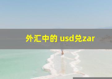 外汇中的 usd兑zar