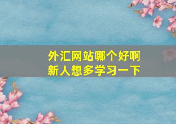 外汇网站哪个好啊,新人想多学习一下