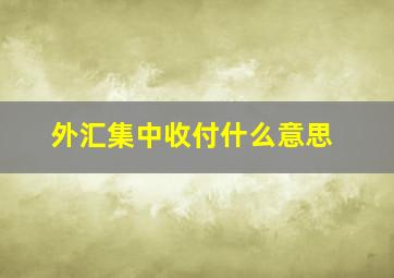 外汇集中收付什么意思