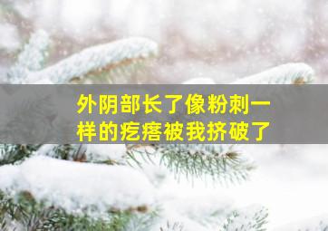 外阴部长了像粉刺一样的疙瘩被我挤破了