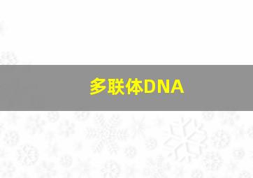 多联体DNA