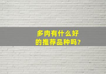 多肉有什么好的推荐品种吗?