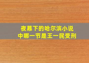 夜幕下的哈尔滨小说中哪一节是王一民受刑