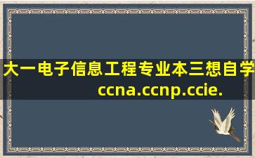 大一电子信息工程专业。本三。想自学ccna.ccnp.ccie.这个专业的合适...