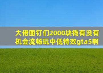 大佬图钉们2000块钱有没有机会流畅玩中低特效gta5啊