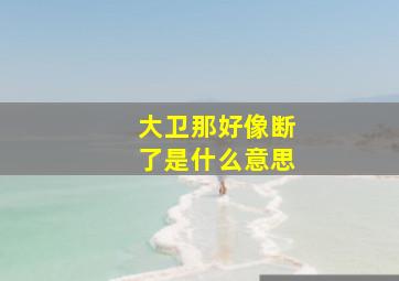 大卫那好像断了是什么意思