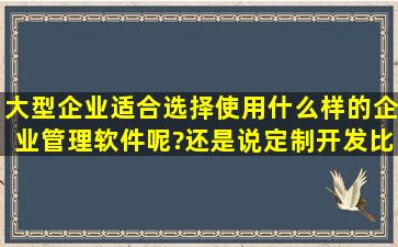 大型企业适合选择使用什么样的企业管理软件呢?还是说定制开发比较好