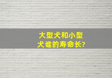 大型犬和小型犬谁的寿命长?