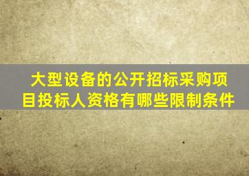 大型设备的公开招标采购项目,投标人资格有哪些限制条件