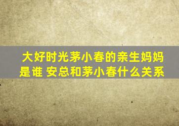 大好时光茅小春的亲生妈妈是谁 安总和茅小春什么关系