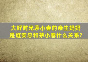 大好时光茅小春的亲生妈妈是谁,安总和茅小春什么关系?