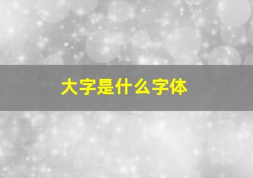 大字是什么字体