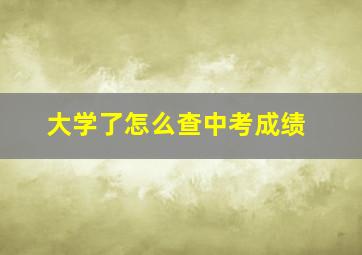 大学了怎么查中考成绩