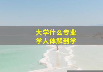 大学什么专业学人体解剖学