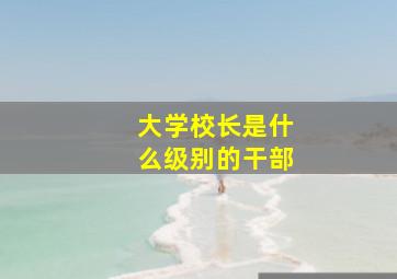 大学校长是什么级别的干部