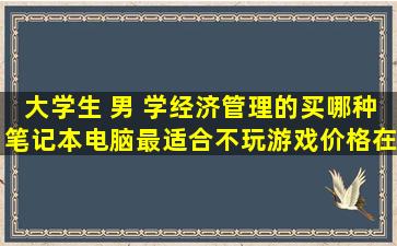 大学生 男 学经济管理的,买哪种笔记本电脑最适合(不玩游戏价格在300