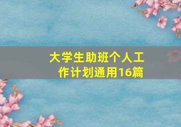 大学生助班个人工作计划(通用16篇)