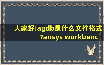 大家好!agdb是什么文件格式?ansys workbench中的文件保存格式是....