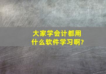 大家学会计都用什么软件学习啊?