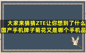 大家来猜猜ZTE让你想到了什么国产手机牌子(菊花又是哪个手机品牌