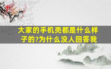 大家的手机壳都是什么样子的?为什么没人回答我