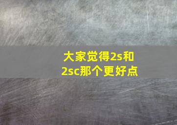 大家觉得2s和2sc那个更好点