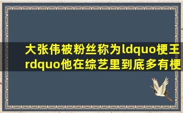 大张伟被粉丝称为“梗王”,他在综艺里到底多有梗?