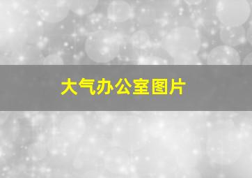 大气办公室图片