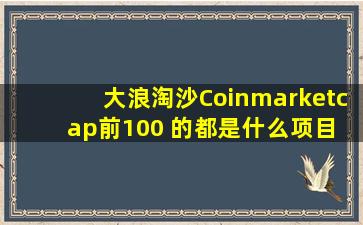 大浪淘沙,Coinmarketcap前100 的都是什么项目 