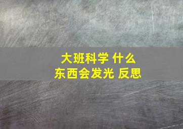 大班科学 什么东西会发光 反思