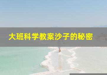 大班科学教案沙子的秘密 