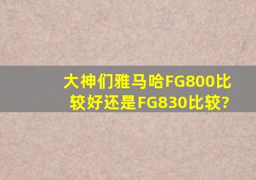 大神们雅马哈FG800比较好还是FG830比较?