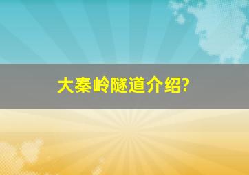 大秦岭隧道介绍?