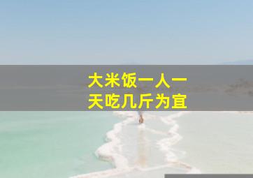 大米饭一人一天吃几斤为宜