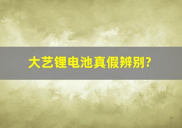 大艺锂电池真假辨别?