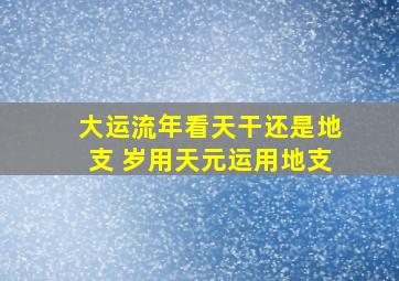 大运流年看天干还是地支 岁用天元运用地支