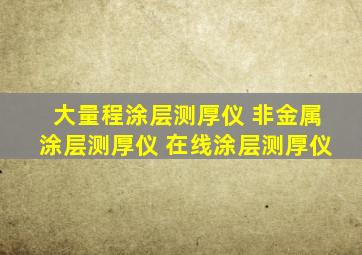 大量程涂层测厚仪 非金属涂层测厚仪 在线涂层测厚仪