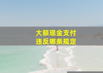 大额现金支付违反哪条规定