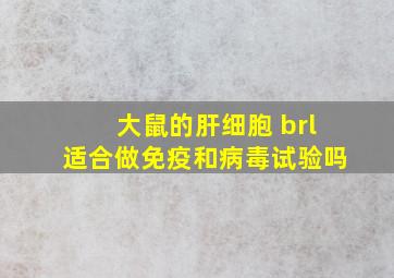 大鼠的肝细胞 brl适合做免疫和病毒试验吗