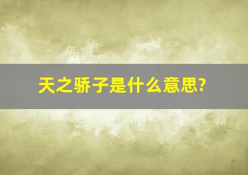 天之骄子是什么意思?