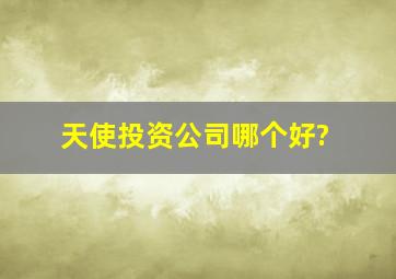 天使投资公司哪个好?