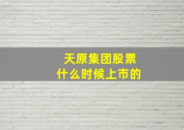 天原集团股票什么时候上市的